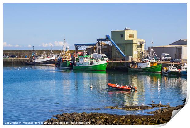 Trawlers at the quayside at Ardglass Harbour Northern Ireland Print by Michael Harper