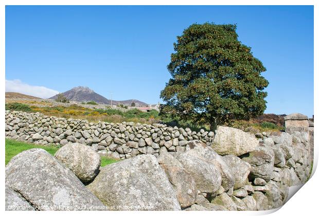 A dry stone wall and mountain peaks n the world fa Print by Michael Harper