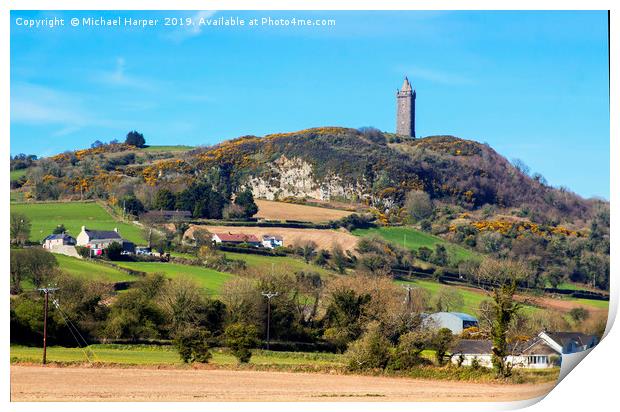 Scrabo Tower viewed from the south west on the Com Print by Michael Harper