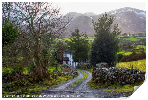 Country House down a lane on the Mourne Mountains Print by Michael Harper
