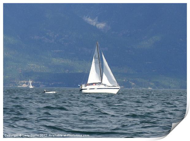Sail Boat on Flathead Lake Print by Larry Stolle