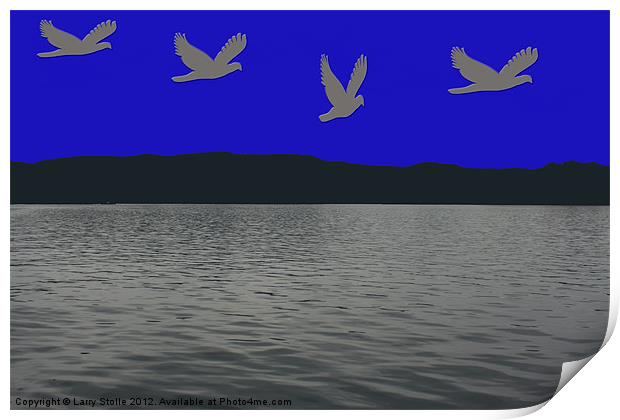 Bird Flying Over the Water Print by Larry Stolle