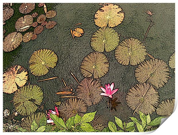 Lotus Pond Print by Mark Sellers