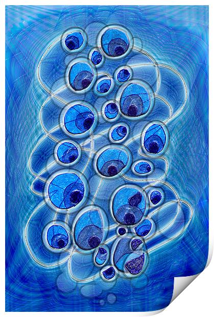 Peacock Bubbles Print by Mark Sellers
