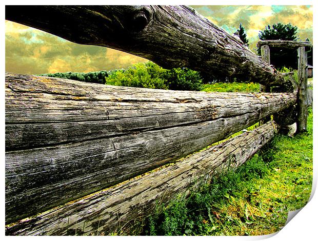 Old Farm Fence Print by Mark Sellers