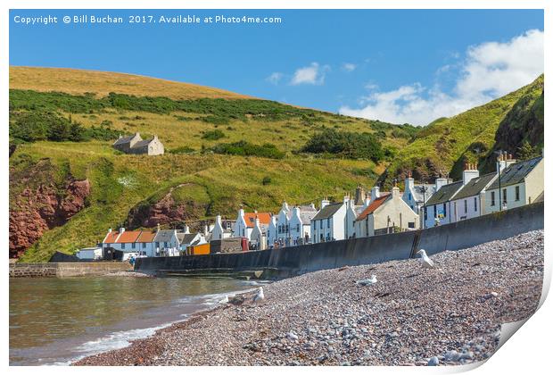 The Pennan Gulls Print by Bill Buchan