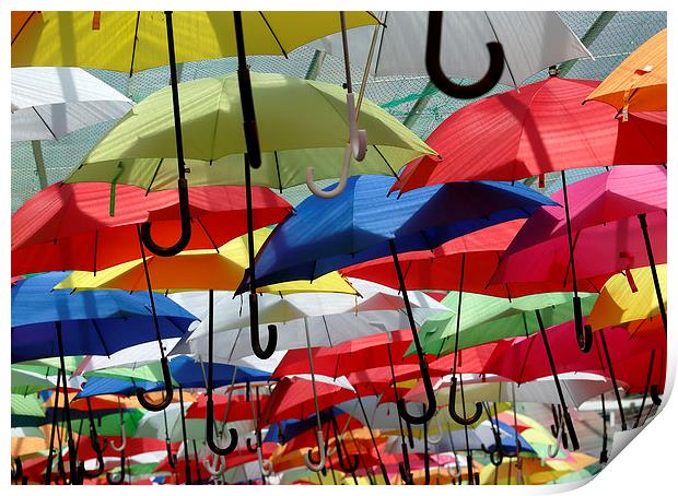  Colourful Umbrellas Print by david harding