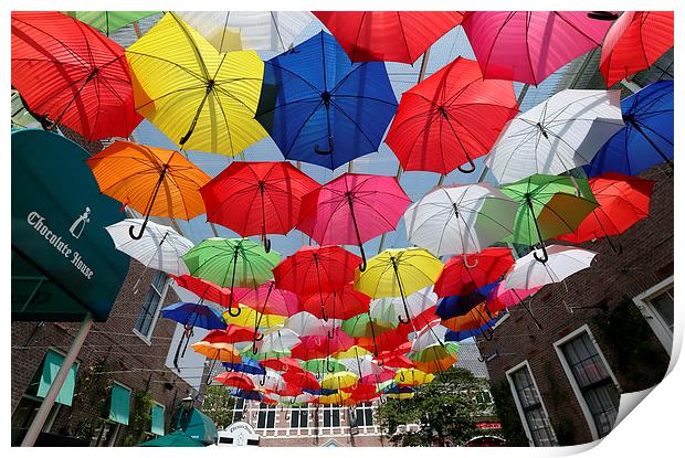  Colourful Umbrellas Print by david harding