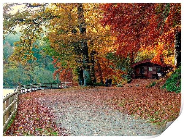 Dunkeld Autumn Print by Laura McGlinn Photog