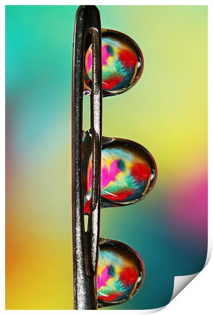 Needle with Tropical Droplets Print by Sharon Johnstone