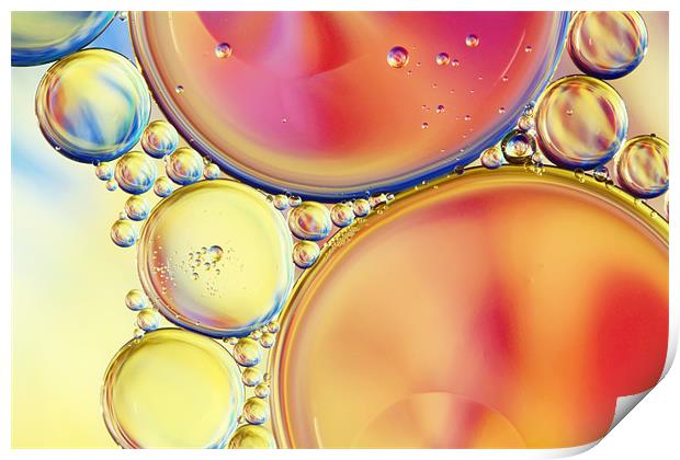 Candy Coloured Oil & Water Drops Print by Sharon Johnstone