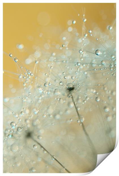Soft Blue Drops Print by Sharon Johnstone