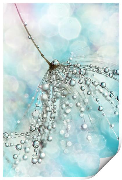 Shower Sparkles Print by Sharon Johnstone