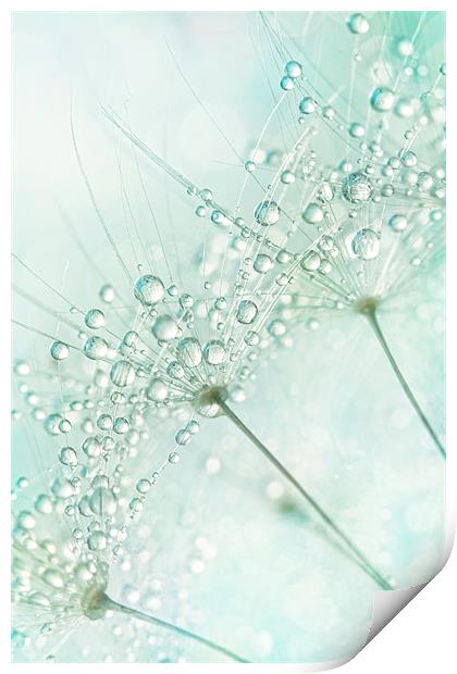 Baby Blue Sparkles Print by Sharon Johnstone