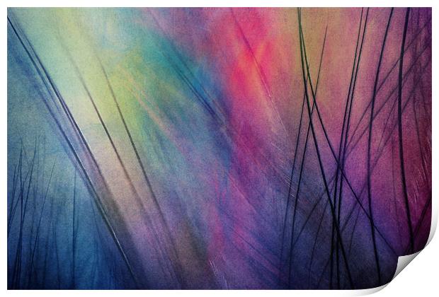 Tropical Feather Abstract Print by Sharon Johnstone