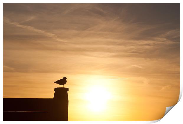 Whitstable Winter Sunset Print by Robert Coffey