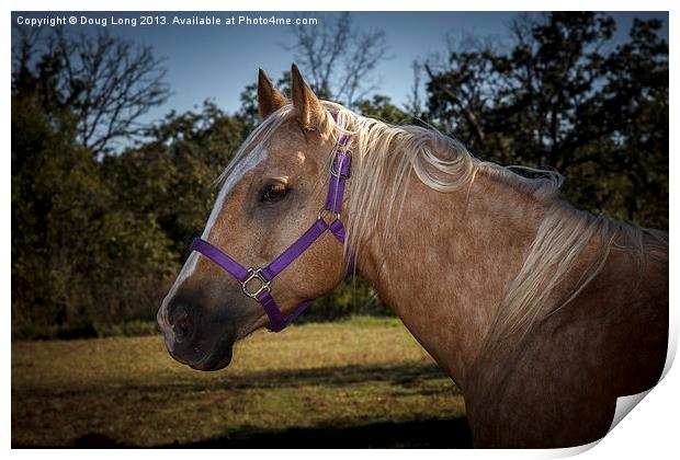 Palomino Quarter Horse Print by Doug Long