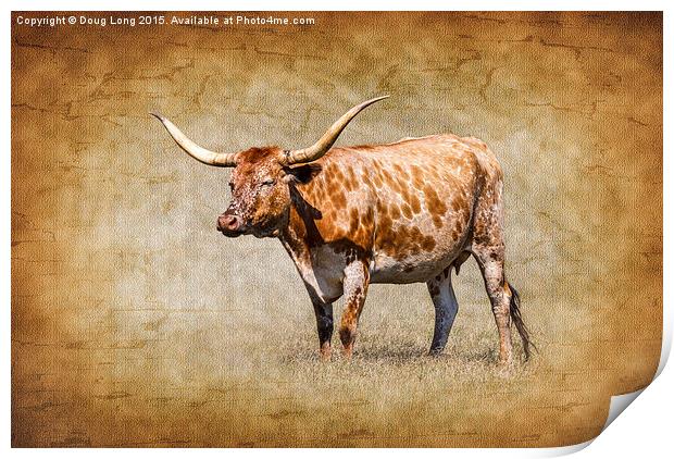 Texas Longhorn Print by Doug Long