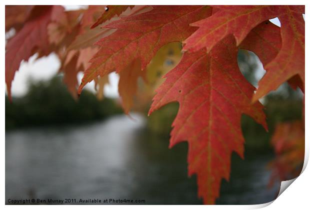 River in Autumn Print by Ben Murray