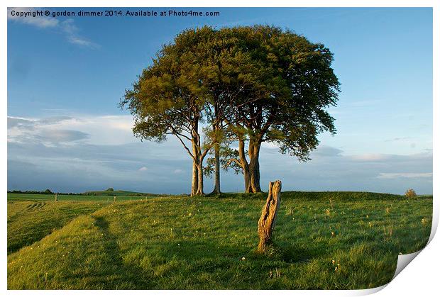 A Striking Tree on Roundway Hill Print by Gordon Dimmer