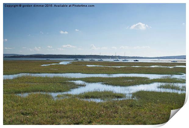  Keyhaven salt flats entrance from the Solent Path Print by Gordon Dimmer