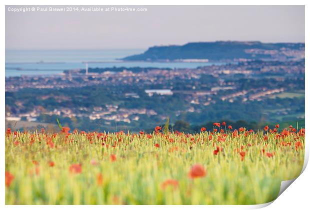 Field of Poppies overlooking Weymouth and Portland Print by Paul Brewer