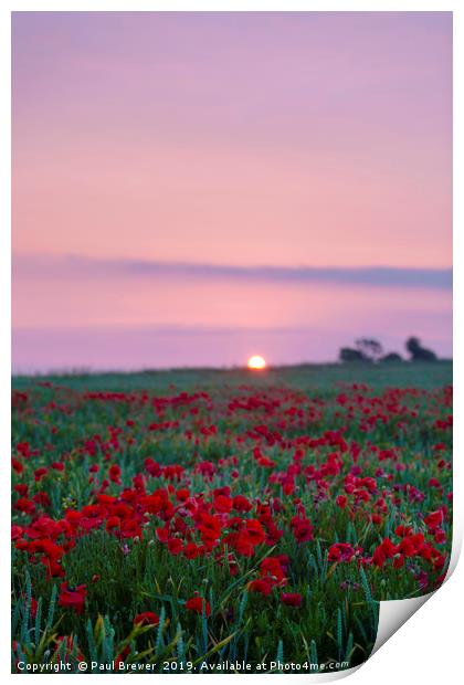 Sunrise over a sea of Red Print by Paul Brewer