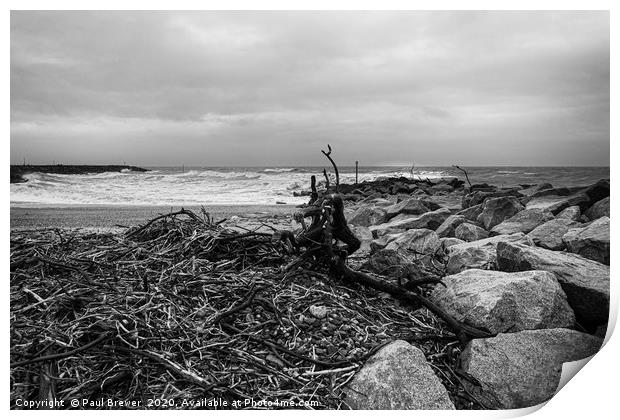 Driftwood  Print by Paul Brewer