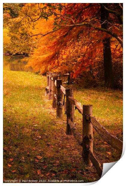 Autumn Fence Print by Paul Brewer