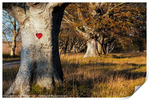 Love Heart Print by Paul Brewer
