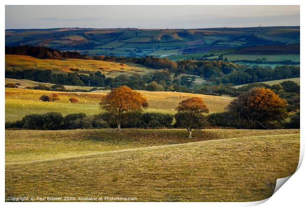West Dorset Landscape Print by Paul Brewer