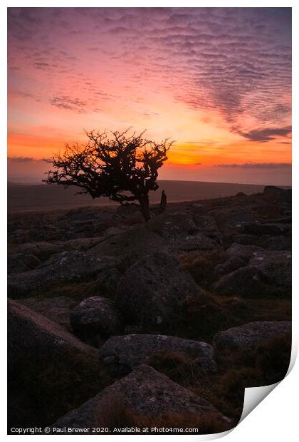 Dartmoor Sunset  Print by Paul Brewer