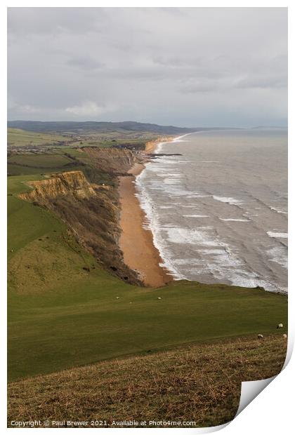 Dorsets Jurassic Coast Print by Paul Brewer