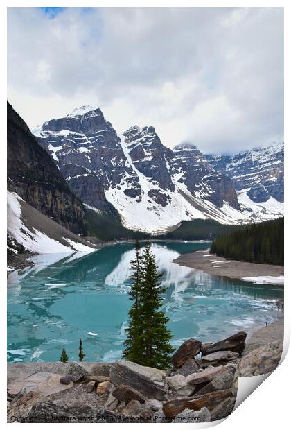 Moraine Lake Print by barbara walsh