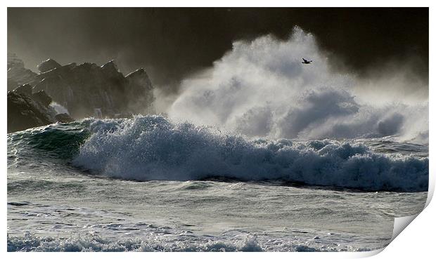 Waves Print by barbara walsh