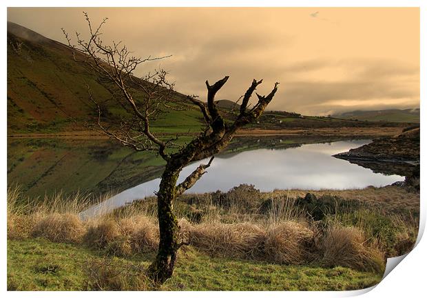 Annascaul Lake Print by barbara walsh