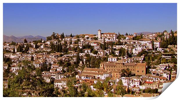 View over Granada Print by barbara walsh