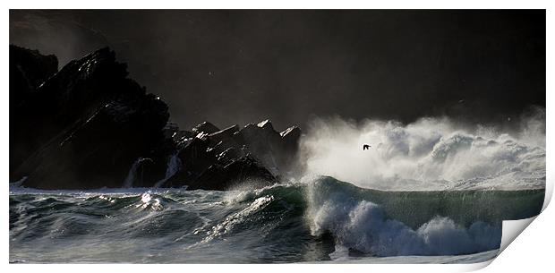 Lovely wave Print by barbara walsh