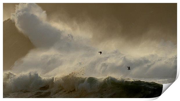 Clogher fun Print by barbara walsh