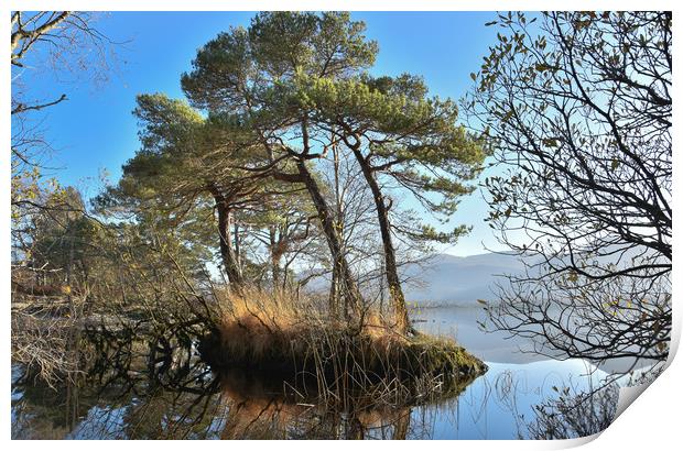 Lough Leane Print by barbara walsh