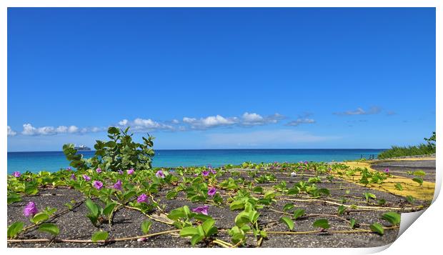 Maria de la Gorda,Cuba Print by barbara walsh