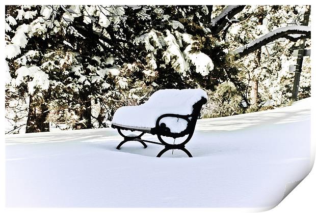 Snow Covered Bench ...misc Print by Elaine Manley