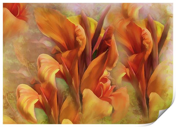 Calla Lillies flower Print by Elaine Manley