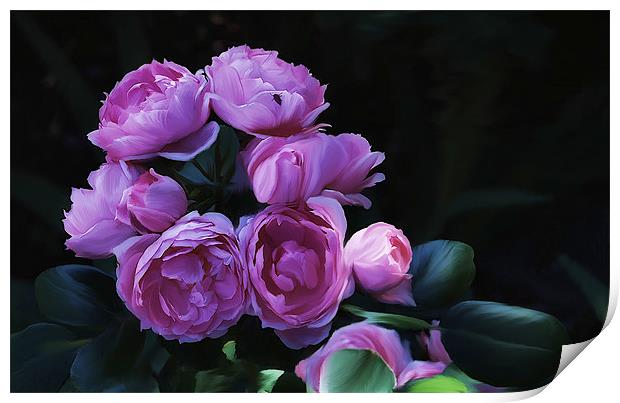  Pimk Rose Cluster flower Print by Elaine Manley