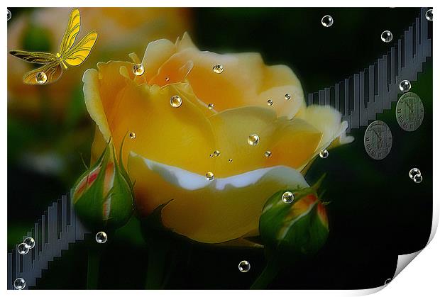 The Rose flower    Music in Time  Print by Elaine Manley