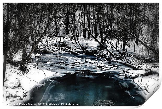 Forest Stream in Winter Print by Elaine Manley