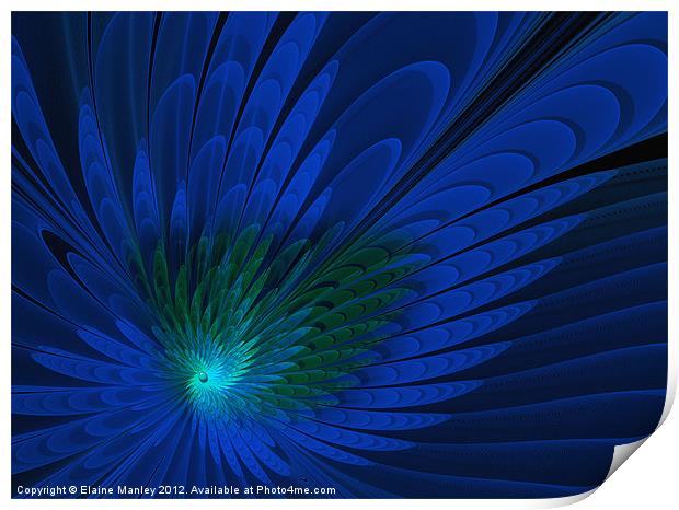 Peacock Feathers .. fractal Print by Elaine Manley