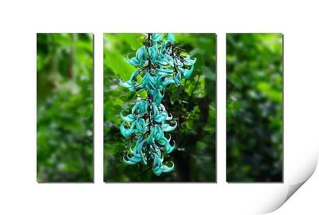 Turquoise Jade Vine Flower Print by Elaine Manley