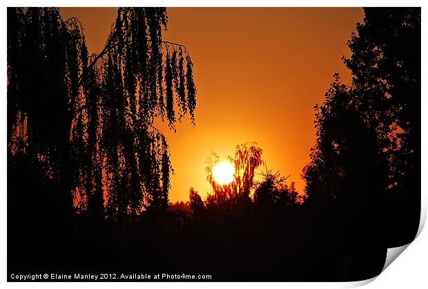 Sunset Silouette Print by Elaine Manley