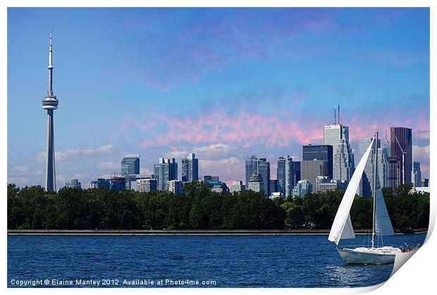Toronto Sail By Print by Elaine Manley